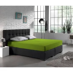 Matras Hoeslakens*Beddenbriljant Dubbel Jersey Matras Hoeslaken Groen 220 gr